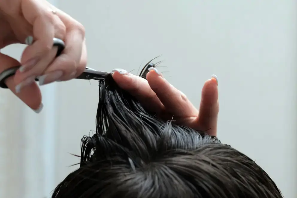 Express Haircut